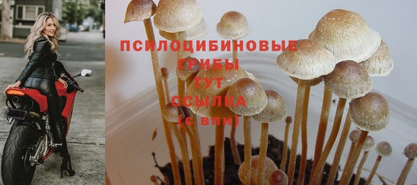 гашиш Козельск