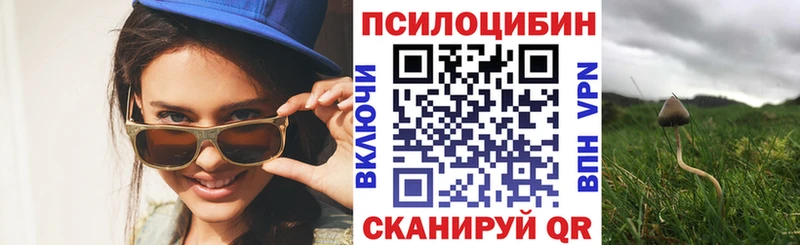 Псилоцибиновые грибы Psilocybe  дарк нет официальный сайт  Юрюзань 